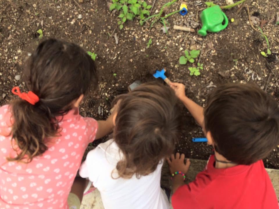 Niños explorando juntos la tierra y la naturaleza